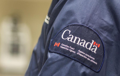 Analyses d'arbres et de végétaux en cours à Montmagny