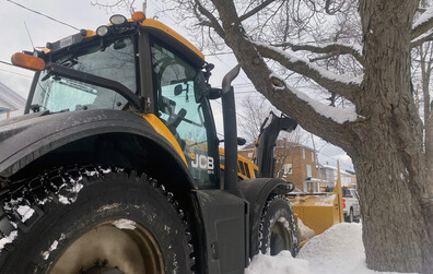 Élagage des arbres : La collaboration des propriétaires est demandée pour éviter les bris d'équipement