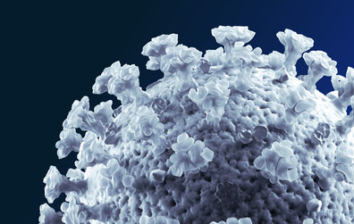 Chaudière-Appalaches en zone rouge | La Ville de Montmagny ajuste ses mesures préventives