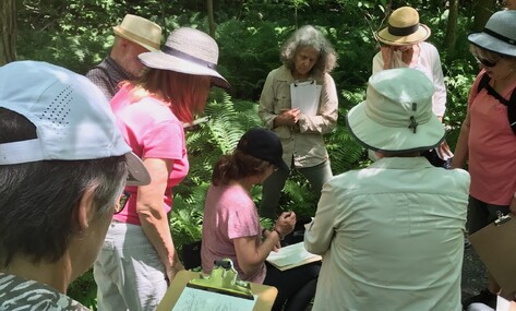Une immersion artistique au coeur des paysages magnymontois